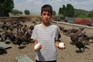 Ge&ccedil;imini organik hindi yumurtasından sağlıyor