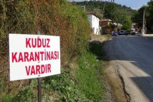 İki mahalle karantina altına alındı