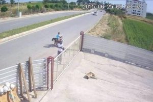 T&uuml;fekle k&ouml;pek &ouml;ld&uuml;rene 1002 lira ceza!