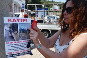 K&ouml;peğini bulana 3 bin lira verecek