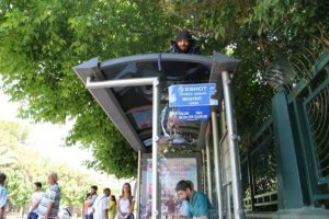 7 yıldır otob&uuml;s durağının tepesinde yaşıyor