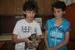 Bursa'da &ccedil;ocuklar har&ccedil;lıklarını biriktirip kediyi veterinere g&ouml;t&uuml;rd&uuml;