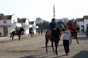 Bursa'da atlara d&ouml;rt d&ouml;rtl&uuml;k hastane 10 milyona mal oldu!