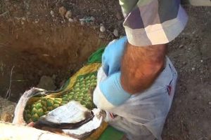'Bebek g&ouml;m&uuml;ld&uuml;' denilen mezardan Kuran'ı Kerim &ccedil;ıktı