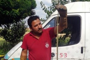 Bursa'da zehirli yılan paniği