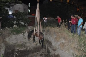 Bursa'da garip bir kurtarma operasyonu! Bir &ccedil;ukurdan &ccedil;ıkardılar başka bir &ccedil;ukura d&uuml;şt&uuml;!