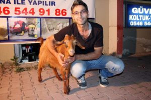 İşte Bursalı esnafın evcil hayvanı