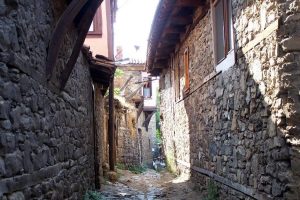 Bursa'da y&uuml;zde 38,8 ile doğa turizmi zirvede