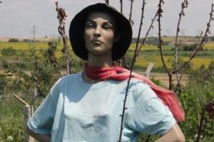 Cansız mankeni tarlada korkuluk yaptı