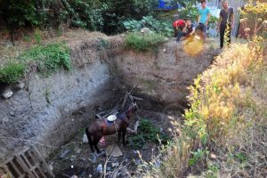 Bursa İneg&ouml;l'de ilgin&ccedil; kurtarma operasyonu