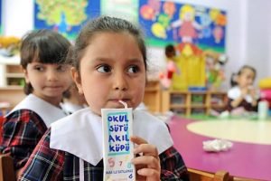 &Uuml;&ccedil; eğitim &ouml;ğretim yılında s&uuml;t dağıtılacak