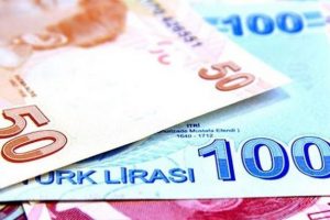 Bakanlık kurup TL'ye ge&ccedil;tiler!