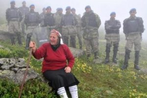 Mahkeme, Yeşil Yol i&ccedil;in ağa&ccedil; katliamına izin vermedi!