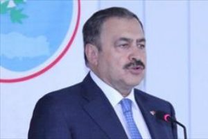Bakan PKK'nın saldırılarıyla ilgili konuştu