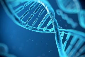 Kuveyt'te herkes DNA'sını verecek!