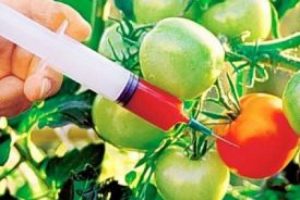 GDO'lu &uuml;r&uuml;nler i&ccedil;in kanun teklifi