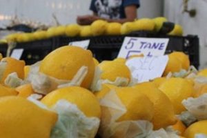 Limon fiyatları el yakıyor