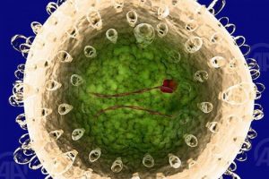 Hepatit yılda 1,4 milyon &ouml;l&uuml;me sebep oluyor