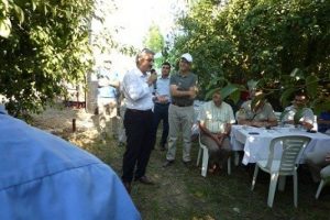 Bursa G&uuml;rsu'da armut bah&ccedil;e g&uuml;n&uuml;