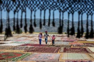 D&ouml;şemealtı "halı tarlası"na d&ouml;n&uuml;şt&uuml;