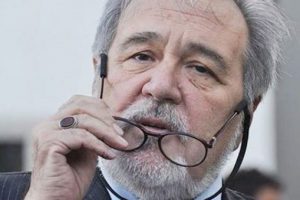 "Ne biz Avusturyalıyız, ne arkadaşlar Macar"