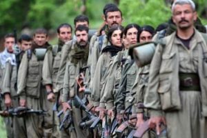 Bing&ouml;l'de eylem hazırlığı yapan 9 PKK'lı yakalandı