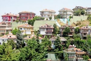 İstinat davası