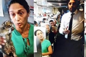 Feribotta yavru kedi tartışması, İDO g&ouml;revlisine alkışlı protesto