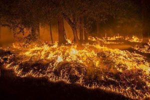 Kaliforniya'da yangınlar y&uuml;z&uuml;nden 13 bin kişi tahliye ediliyor