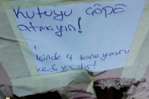 Bursa'da bomba sanılan kutudan yavru kedi &ccedil;ıktı!