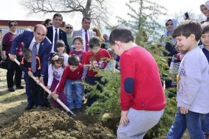 Bursa Yıldırım'da 'yeşil' seferberlik