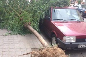 Turgutlu'da şiddetli r&uuml;zgar hayatı olumsuz etkiliyor