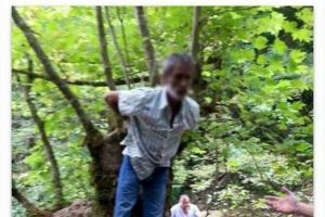 Kayınpederini ka&ccedil;ırıp d&ouml;vd&uuml;, ağaca bağlı fotoğrafını paylaştı