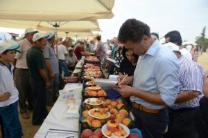 Bursa Nil&uuml;fer'de 'Şeftival' coşkusu!
