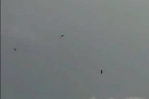 Bursa'da 'UFO' iddiası