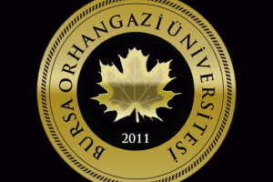 Bursa Orhangazi &Uuml;niversitesi &ouml;ğrencileri İngiltere'de