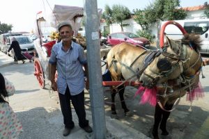 Bursa Mudanya'da fayton sefası