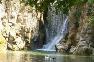 Bursa'da 'Cennet'ten bir par&ccedil;a...
