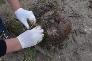 Ortalığı kana bulayacaklardı