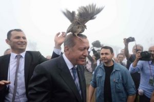 Erdoğan'ın başına konan keklik sosyal medyada g&uuml;ndem oldu