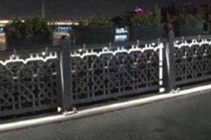 Galata K&ouml;pr&uuml;s&uuml;'nde saksı operasyonu