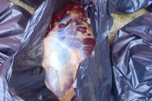 400 kilo at eti ele ge&ccedil;irildi