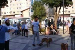 Sokak m&uuml;zisyenlerine pitbull k&ouml;pekleri ile saldırı