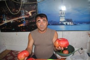 En b&uuml;y&uuml;k domates rekoru