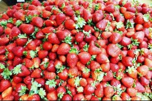 Şerbet&ccedil;iotu'ndan vazge&ccedil;en &uuml;reticinin y&uuml;z&uuml; &ccedil;ilekle g&uuml;lecek!