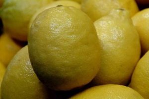 Limonun kilosu dalında 90 kuruş, markette 10 lira