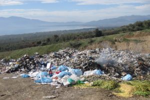 Bursa'da &ccedil;&ouml;pl&uuml;kler yeşil alana d&ouml;n&uuml;ş&uuml;yor