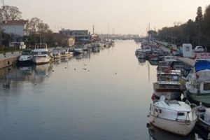 Kurbağalıdere'nin bal&ccedil;ığı Marmara'ya
