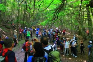 Evliya &Ccedil;elebi'nin izinde adım adım Bursa