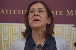 HDP'li &Uuml;st&uuml;n, G&uuml;neydoğu'daki orman yangınlarına dikkat &ccedil;ekti